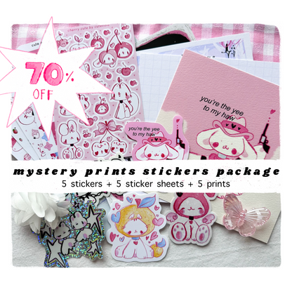 Mystery Stickers & Prints Package 70% OFF